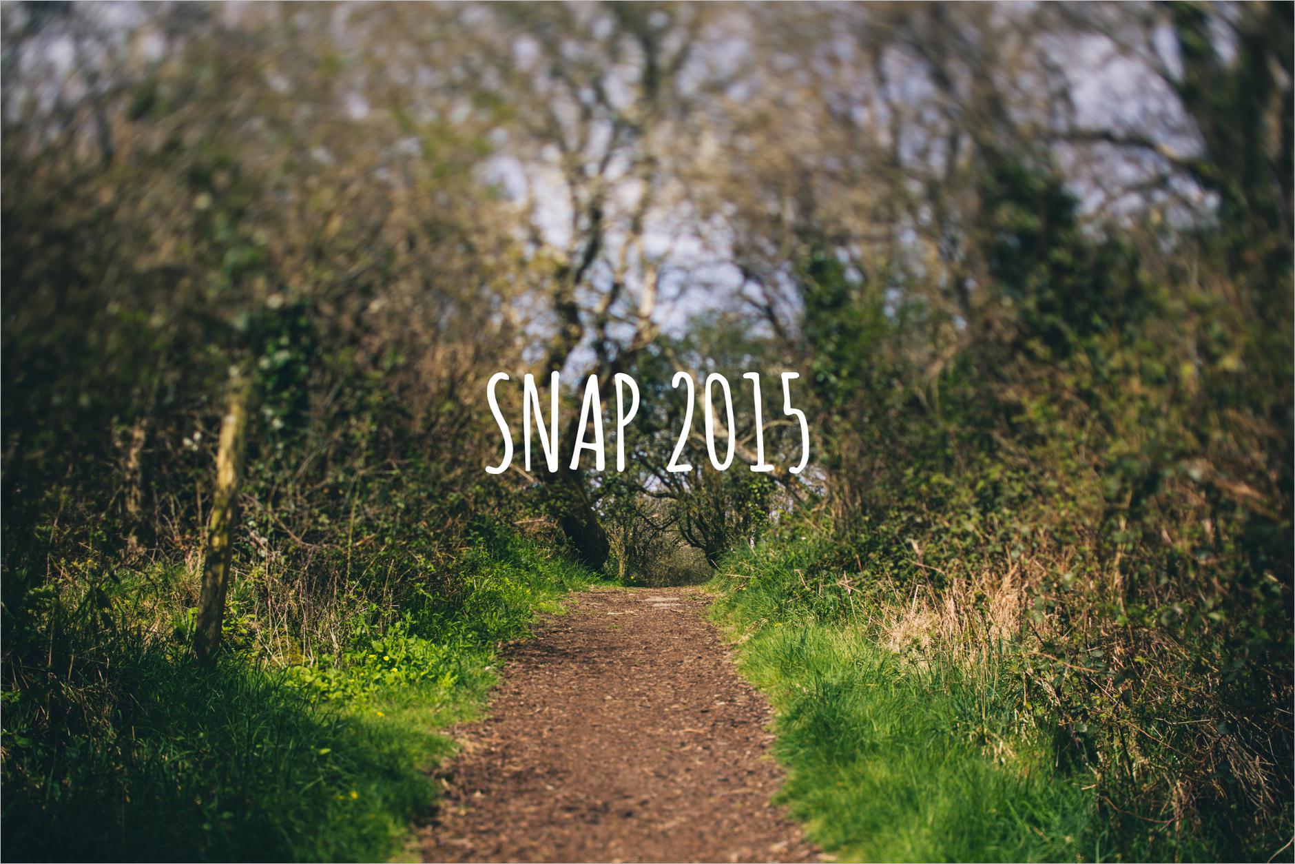 snap photo festival at fforest