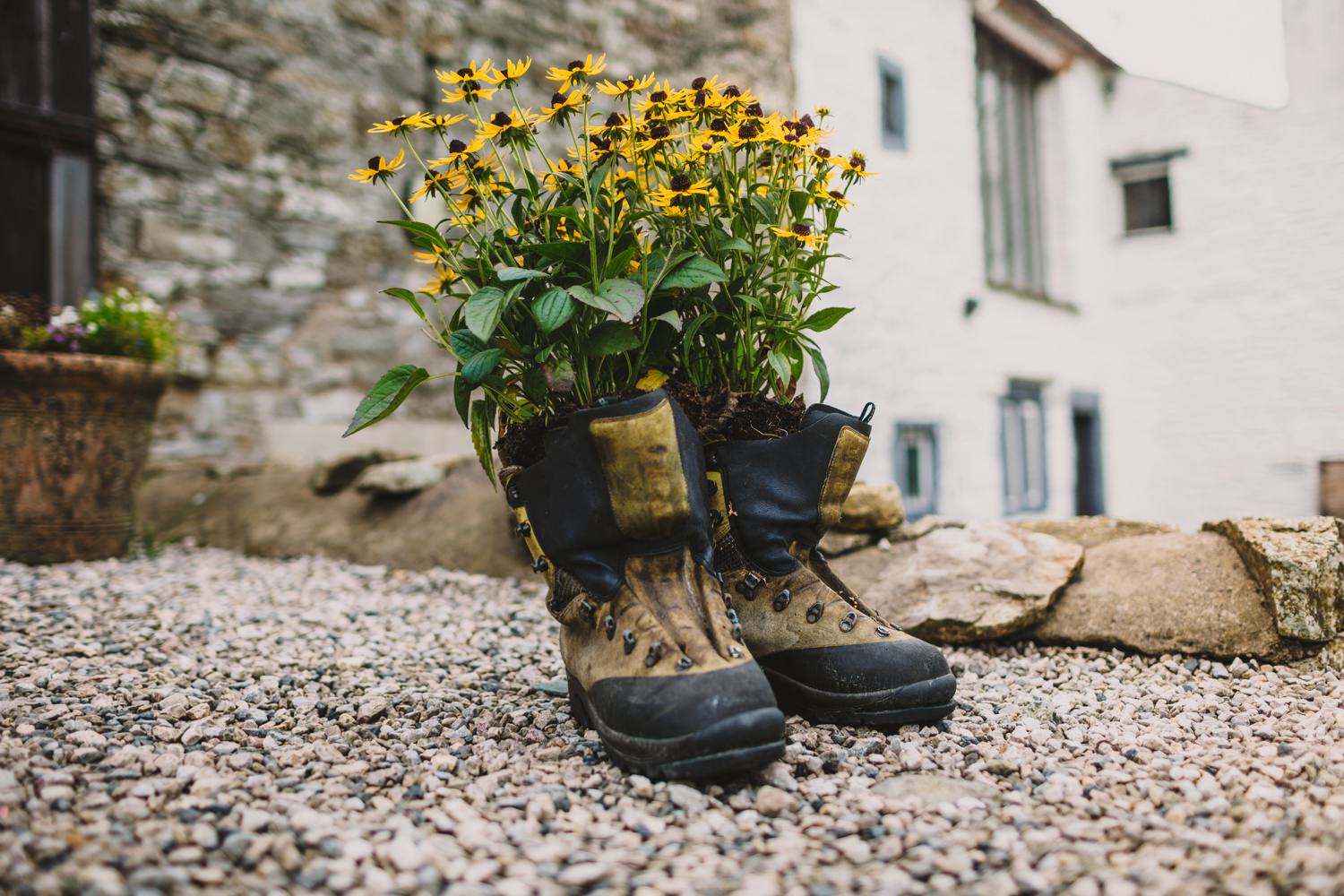 Yellow flowers in walking boots Hiking-wedding-Knipe-Hall-Cumbria